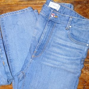 Triarchy High Rise Medium Wash Boyfriend Jean